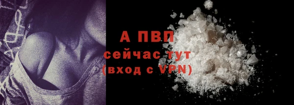 спайс Богданович