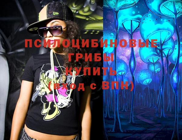спайс Богданович